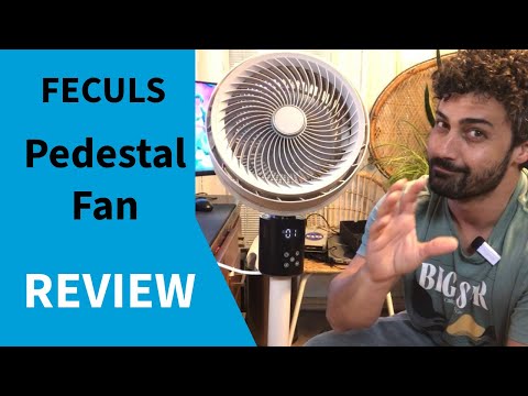 Just what you want to know: The Feculs Pedestal Fan