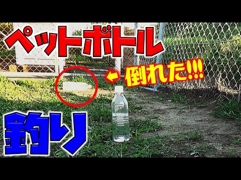 ペットボトル簡単仕掛けを水門にぶち込んだ！