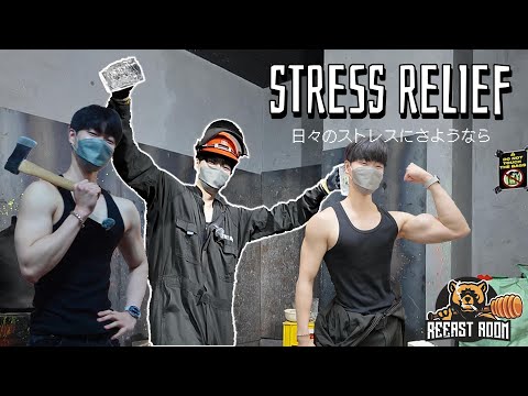 Break things and relieve stress!?