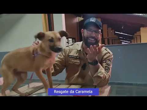 EP #5 - CESAR ROCHA SEMPRE INOVANDO COM MATÉRIAS ESPECIAIS | IMPERDIVEL!