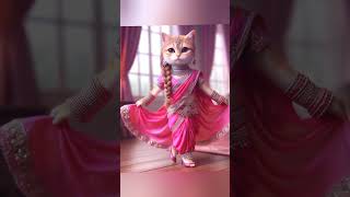 bride cat | #beautifulcat #yt