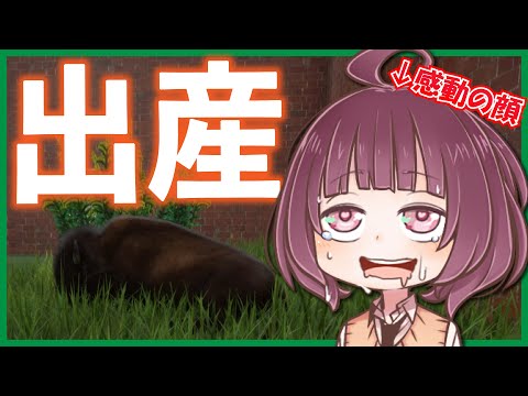 【PlanetZoo】東北きりたんの動物園建設記 #2「冬にクーラー！」【VOICEROID実況】