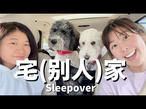 宅(别人)家 Sleepover Vlog (mostly dog, food, good convos) 吃吃饭噜噜狗，一天就过去了 Spend a girls night in w me