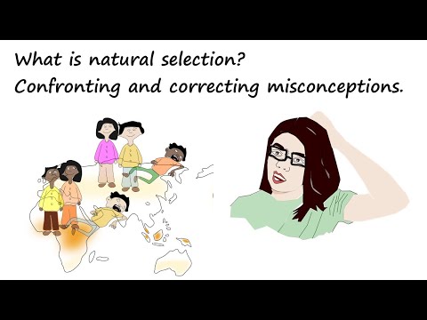 What is natural selection? Confronting and correcting misconceptions.