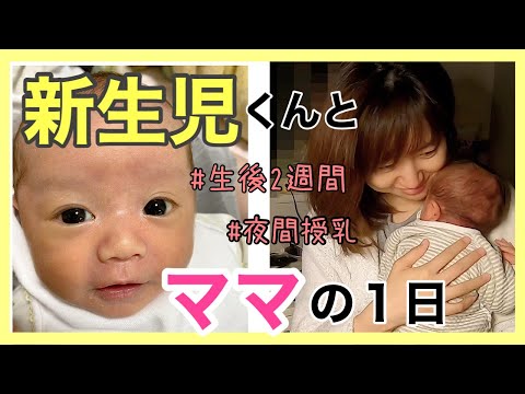 【新生児】生後2週間の赤ちゃんとママの1日。