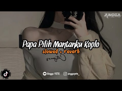 DJ Papa Pilih Mantanku Koplo (Slowed & Reverb) 🎧