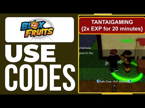 Blox Fruits Codes You Must Use For December (100% Working)