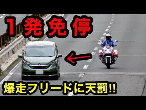 【赤切符・一発免停‼️】一般道を爆走するフリードに天罰‼️　[白バイ 取り締まり]