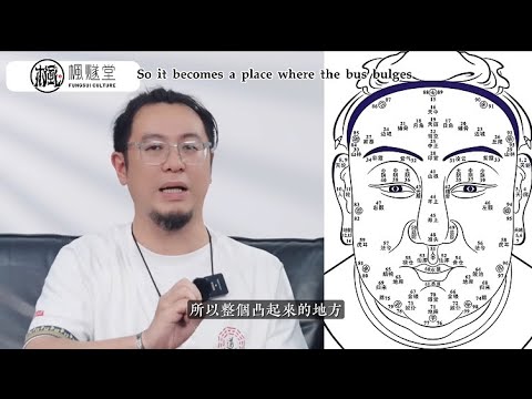 【楓燧論痣相】點痣指南2.0！痣上長毛可救命？！要想財運通暢，鼻梁千祈唔好有痣！有情有義嘅人呢啲部位會有痣！夫妻宮凹陷仲有痣，一定要帶眼識人！#痣相 #楓燧大師兄 #fengsui