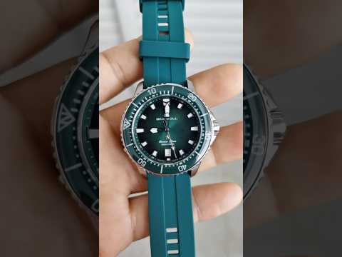 Sea-Gull Dive Watch. Ocean Star. 40 mm. Sapphire Bezel. Ref. 816.92.1213  海鸥潜水表 海洋之星 蓝宝石表圈