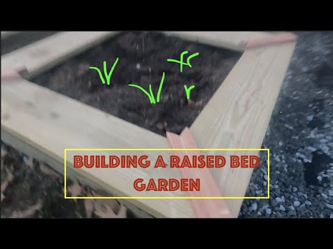 RAISED BED GARDEN- TIME LAPSE 28 hours to 5.5minutes