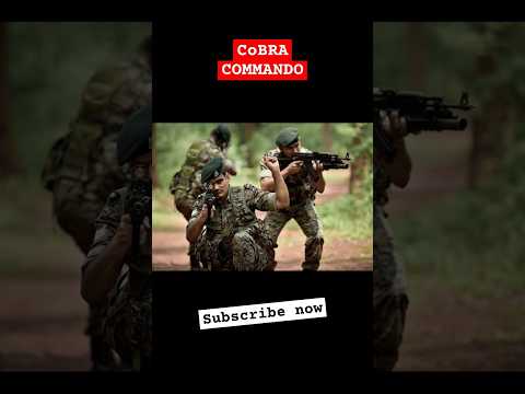 Cobra🇮🇳 commando 💪attitude😎 status🥰 viral🔥 #cobracomondo #attitudestatus #shorts #trendingshorts