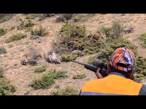 BEST MOMENTS OF WILD BOAR HUNT - DOMUZ AVI EN İYİ ANLAR - Caçada de javali