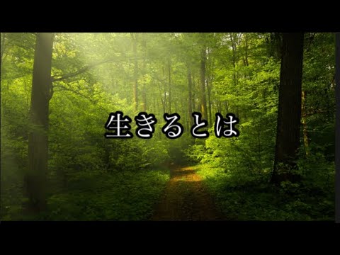 生きるとは #名言 #名言集 #人生 #心に響く言葉 #言葉 #おすすめ