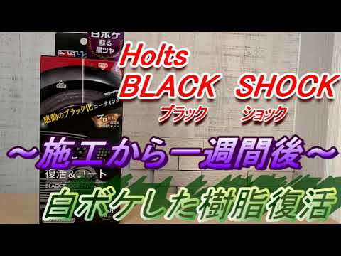 Holts ブラックショック　～未塗装樹脂復活～　施工から一週間後