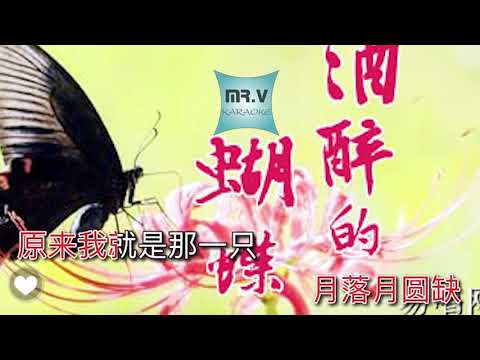 [Karaoke] 酒醉的蝴蝶 - 刘海东（伴奏版）| Jiu Zui De Hu Die - Liu Hai Dong