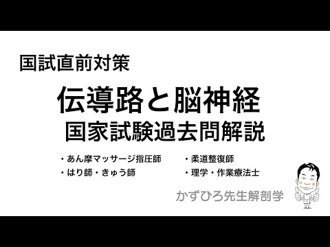 国試直前対策② 伝導路・脳神経