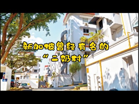 新加坡最早的公共住宅！