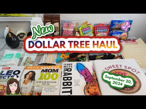 NEW DOLLAR TREE HAUL!  SOCKS, BOOKS & More! Everything was $1.25! September 20, 2024