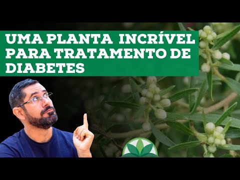 Alecrim-do-campo - O tratamento Natural para Diabetes