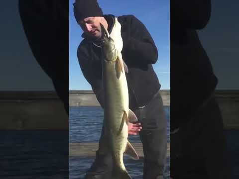 Monster Muskie catch on a very cold day ￼