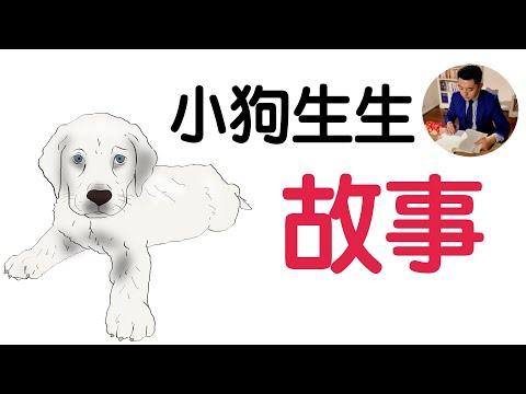 小狗生生的真實故事：4的哲學智慧｜春夏秋冬又一春｜牛超愛閱讀