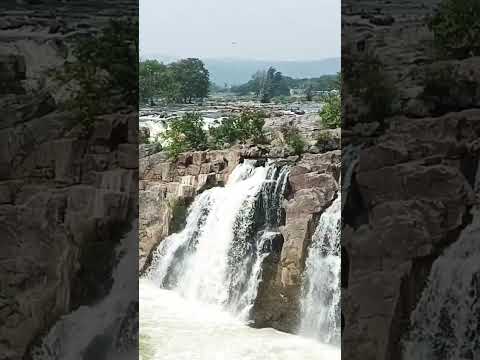 Amazing water falls #hogenakkal #tamilnadu #india #vlogs #vlog #shots #tourist #travel #english