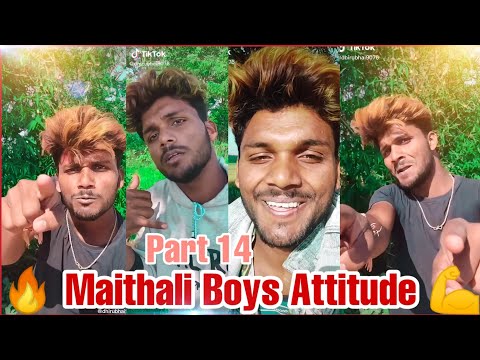 Dhiru Bhai Attitude Tiktok Viral Video //New Maithali Boys Attitude Tiktok//Dialogue Shayari Tiktok