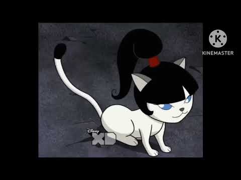 What do you think about Kimiko Tohomiko in cat form from Xiaolin Chronicles?