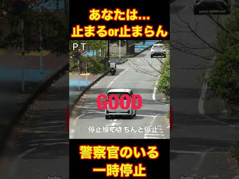 貴方なら止まるOR止まらない？その先で警察官がお待ちです。