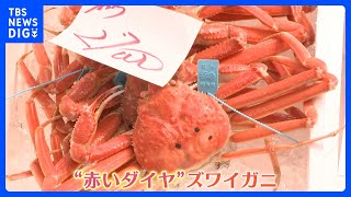 サンマは安いがイクラ高騰“値上げ”する飲食店も！お得な“大ズワイガニ”とは？｜TBS NEWS DIG