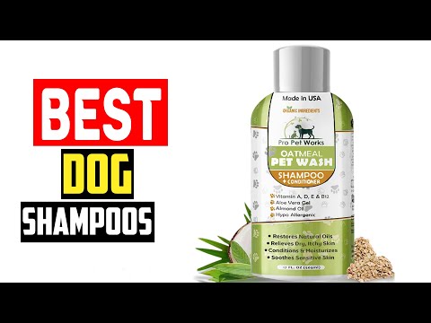 ✅Top 5 Best Dog Shampoos in Every Category, from Waterless to Medicated