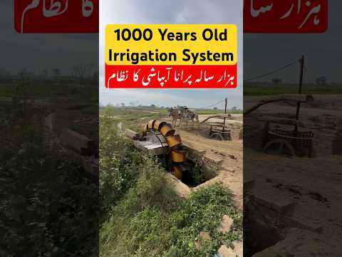 1000 years old irrigation system #usmantahirjappa #travel #umaisavlogs #irrigation #ox