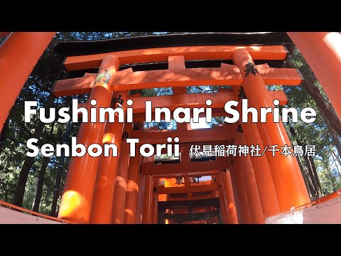 Kyoto Fushimi Inari Shrine(Senbon Torii)  -伏見稲荷大社 千本鳥居- ［4K］