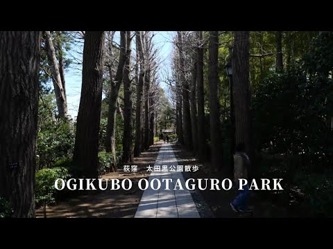 [Ogikubo walk! ] Take a walk in Ootaguro Park in a quiet residential area!