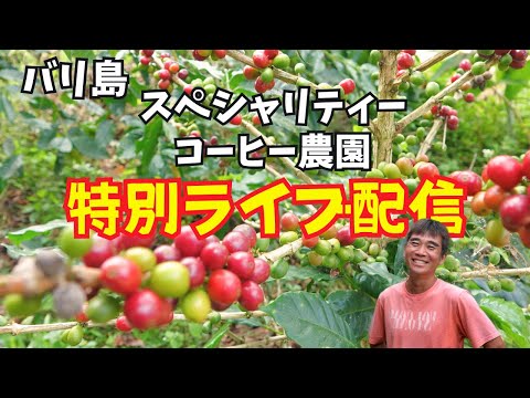 【2024-07-29】１時間早めて‘‘バリ島の『スペシャリティーコーヒー農園』で特別配信！