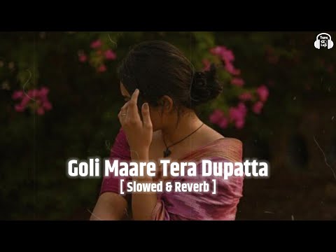 Goli Maare Tera Dupatta [ Slowed & Reverb ] Udit Narayan | Shaan | Jhatka Maare Lofi