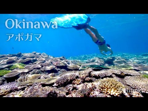 シュノーケリング＠沖縄アポガマ：Free Diving in Japan's Snorkeling Spot Okinawa Mermaid Grotto| Shark, Coral