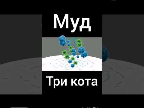 муд три кота "компот с молоком"