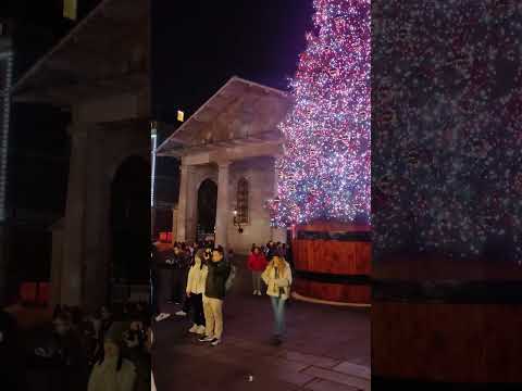 Covent Garden London December Christmas festive season #travel #londonlandmark #landmark #christmas