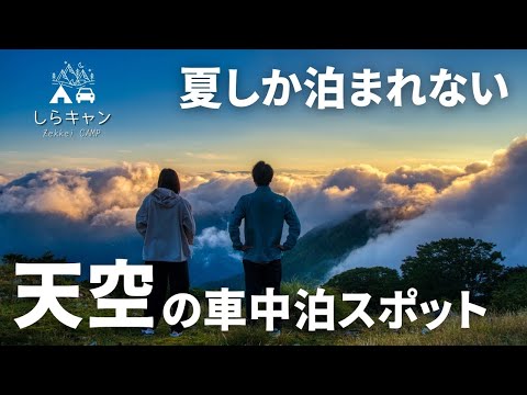 【RAV4車中泊】期間限定！真夏の伊吹山ドライブウェイで天空の絶景と登山／ファミリーキャンプ