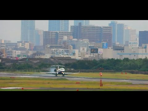 連続到着のC3-PO機、みぞか号！伊丹空港ライブ配信 その２ Osaka International Airport 12/10/2024