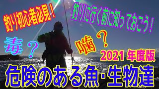 初心者必見！釣りに行く前に…「毒魚・危険な魚」を知っておこう！