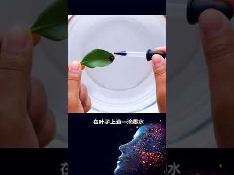 新奇百科 教孩子这些科学小实验，从此再也不爱玩手机了！ #物理实验 #科学小实验 #我在快手涨知识  @快手科