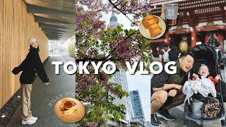 TOKYO VLOG 上｜吃到心心念念的松饼🥞 东京天空之树｜上野公园看樱花🌸 早餐咖啡店打卡｜一口入魂烧肉店｜根津美术馆