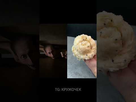 Канал с самыми смешными кружками в комментариях #funny #рекомендации #юмор #reels #истории #дуэт#bmw