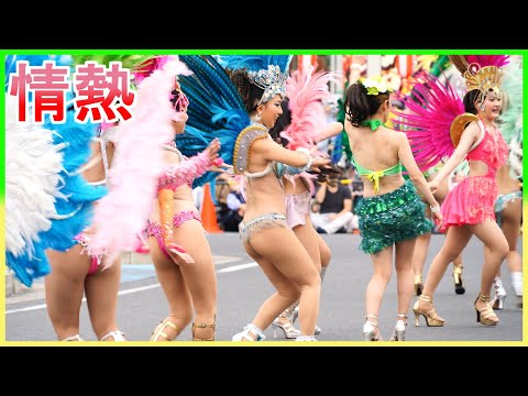 4K 草加よさこいサンバフェスティバル 2023 フロール・チ・マツド・セレージャ Japanese Samba