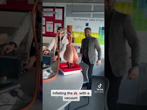 Teacher inflates 🫁 lungs with a vacuum pump #teacher #school #lung #lungs #science #scienceteacher