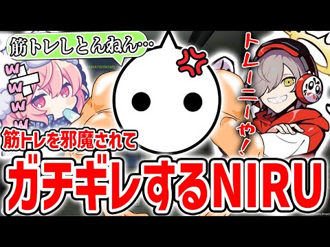 筋トレを邪魔されてガチギレするNIRUを見て爆笑するだるまいずごっどとなるせ【切り抜き/VCRGTA2/スト鯖GTA】