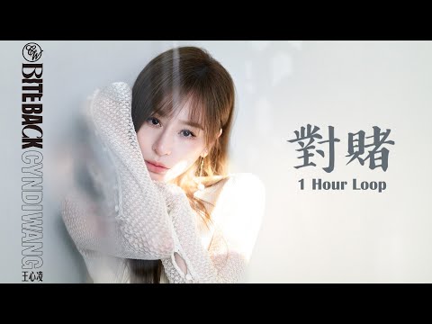 王心凌CYNDI WANG《對賭 All in》｜♾️一小時循環播放1 Hour Loop♾️｜2023全新專輯 BITE BACK